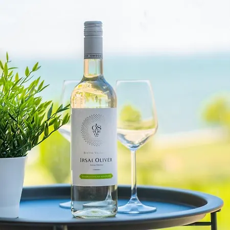 Myflat Coral Premium Apartment アパート *